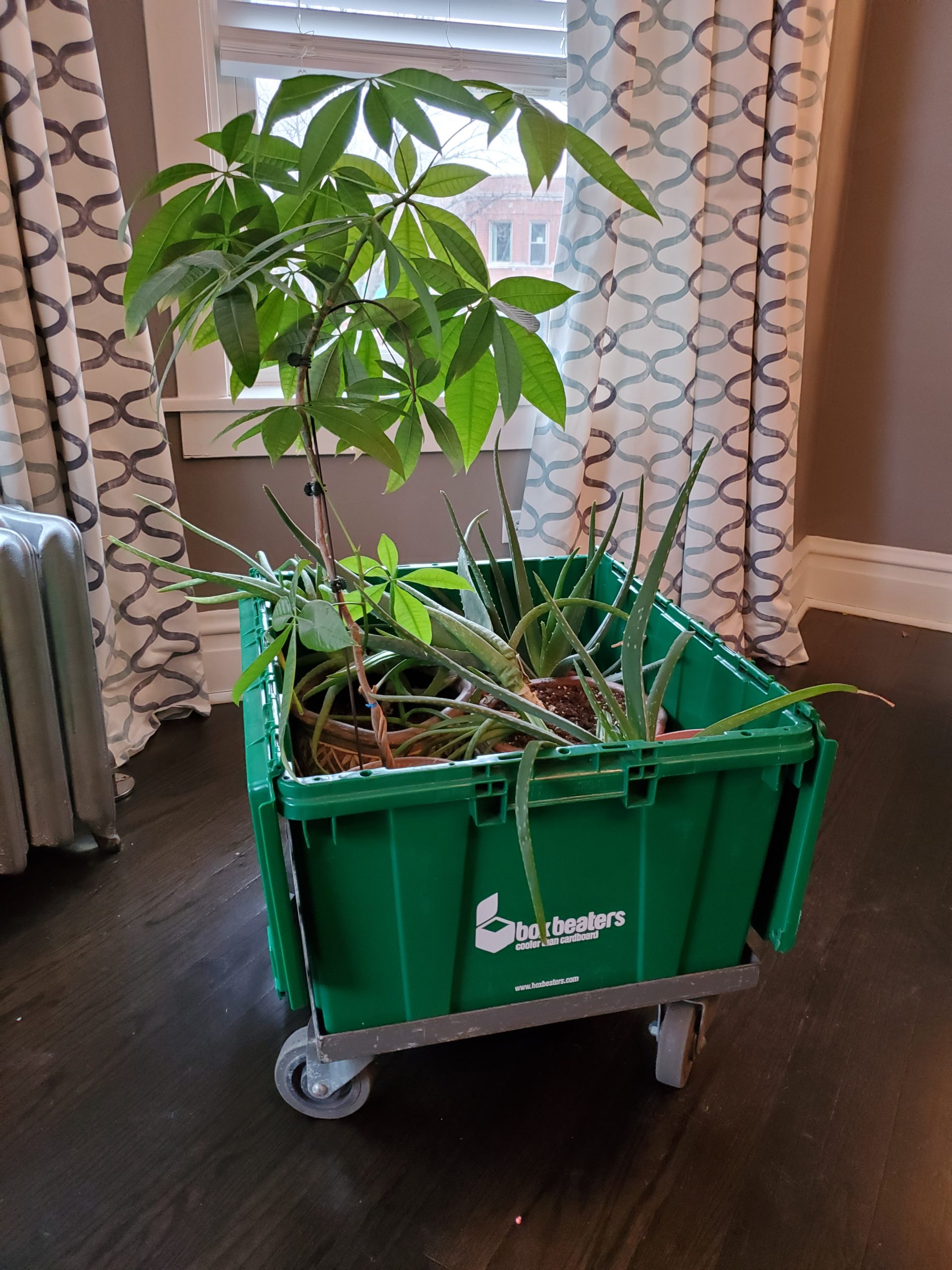 Tips for using rental plastic moving boxes Box Beaters