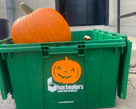 Pumpkin in a Box Beater