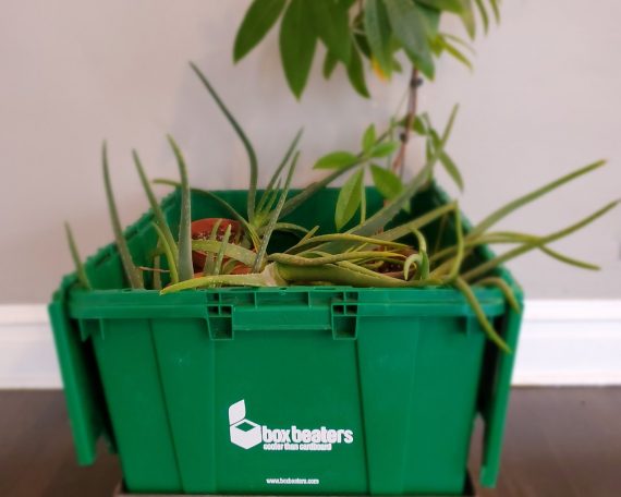 Rentable totes are hot sustainable moving trends